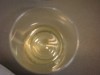 DSC08647.jpg